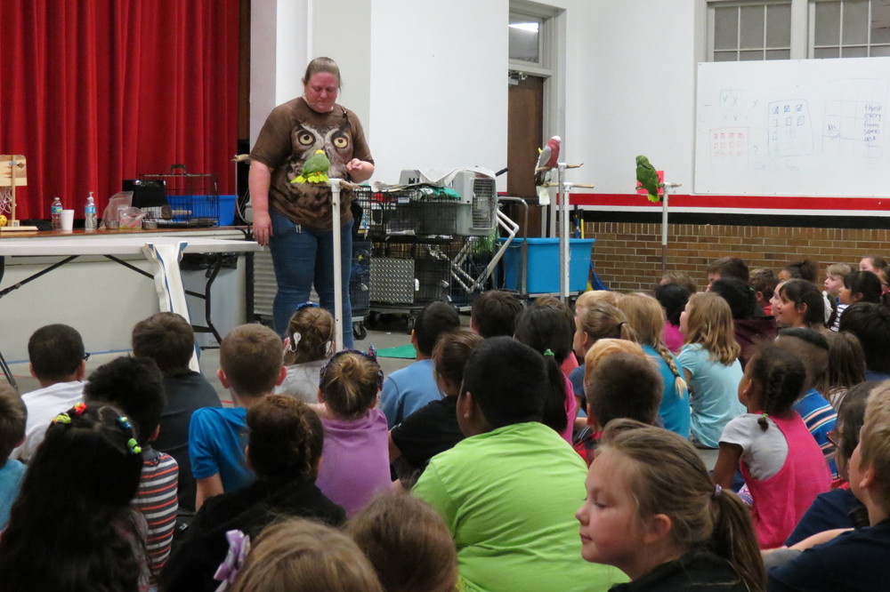 Wings of Love Assembly