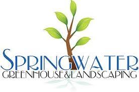 Our Visit from Springwater