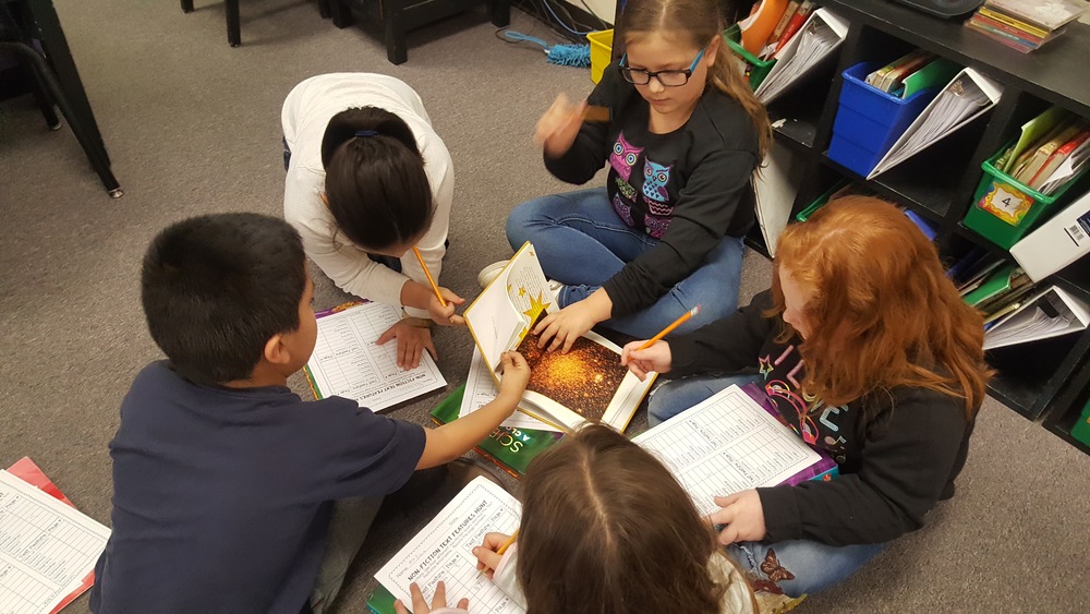 Non-fiction Text Feature Scavenger Hunt