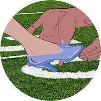 HOMECOMING