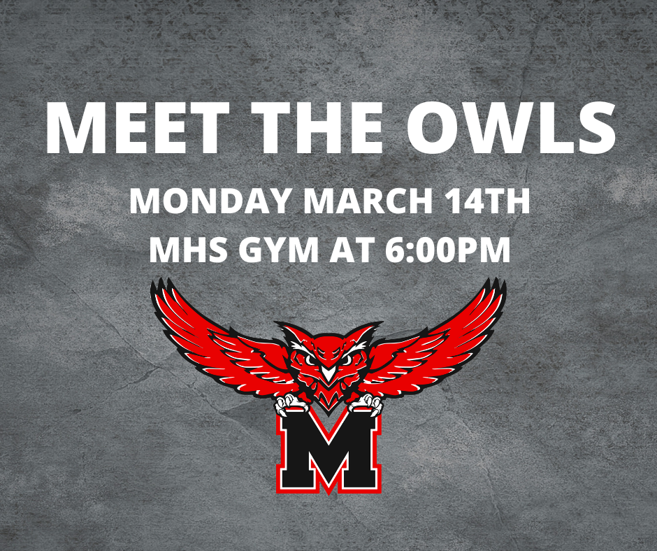 meet the owls 